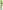 DENNERLE Perfect Plant A1 Daily Discus ежедневное удобрение для акв. высоких температур (для 25000л) 50мл